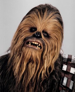 Inspiration for Chewbacca