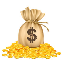bag with dollars money on pile of golden coins