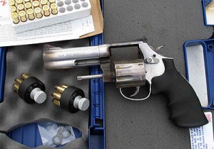 1 Smith & Wesson 686 .357 Magnum
