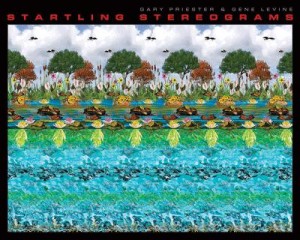 1 The Stereogram