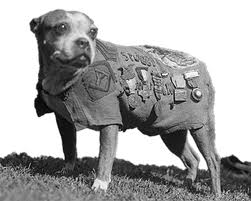 6 Sergeant Stubby