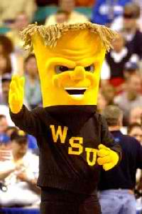 8. WuShock