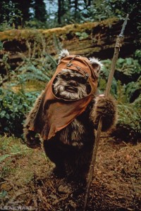 Origin of Ewok