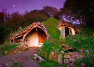 1 Hobbit House
