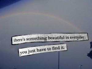 15 “There’s something beautiful in everyday.  You just have to find it.”