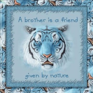 6 “A brother is a friend given by nature.”