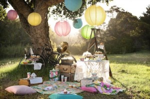 9 Plan a Surprise Picnic