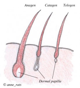 7 Undergo Treatments