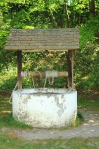 1 My mother-in-law fell down a wishing well. I was amazed, I never knew they worked