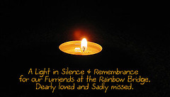 9 A light of remembrance